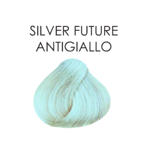 silver-future-5